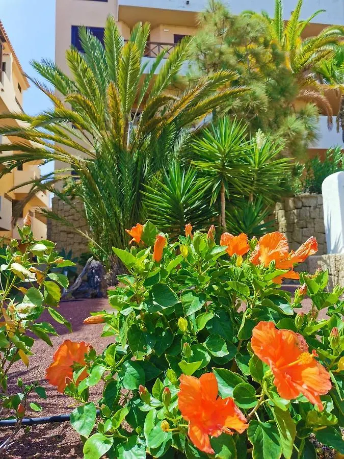 Rayo Apartment Σαν Μιγκέλ ντε Αμπόνα